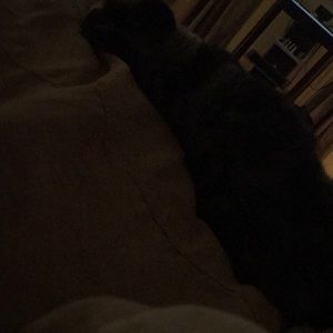 Meet your Posher, Tracy